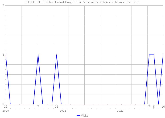 STEPHEN FISZER (United Kingdom) Page visits 2024 