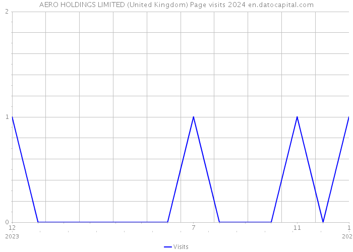 AERO HOLDINGS LIMITED (United Kingdom) Page visits 2024 