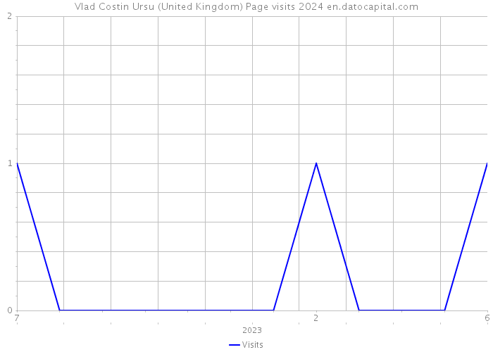 Vlad Costin Ursu (United Kingdom) Page visits 2024 