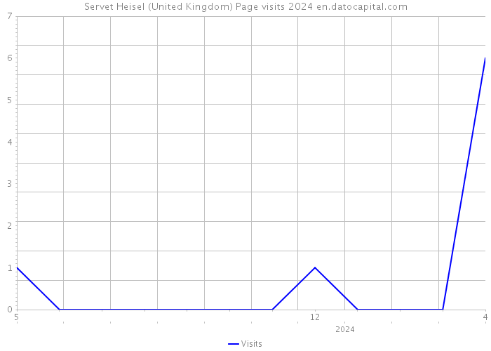 Servet Heisel (United Kingdom) Page visits 2024 
