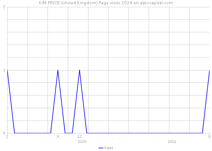 KIM PRICE (United Kingdom) Page visits 2024 