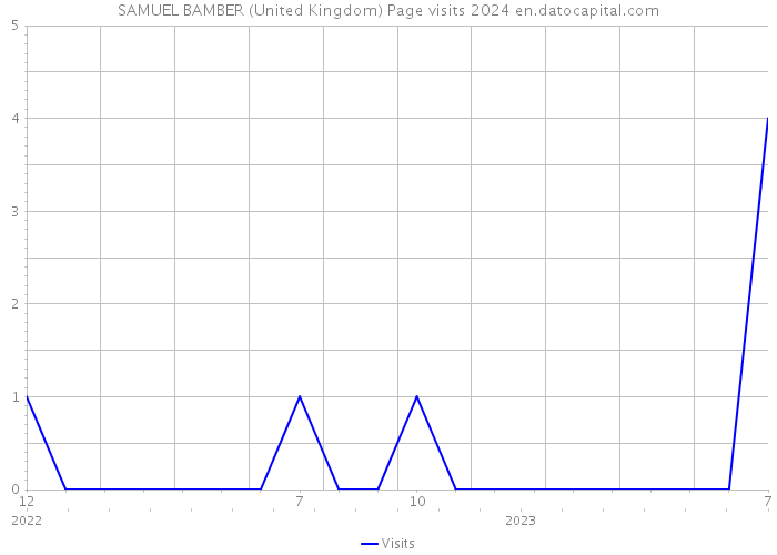 SAMUEL BAMBER (United Kingdom) Page visits 2024 