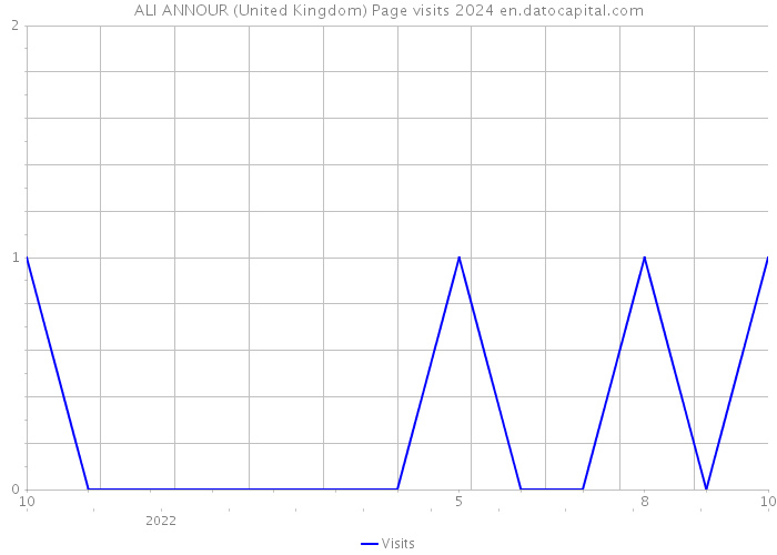 ALI ANNOUR (United Kingdom) Page visits 2024 