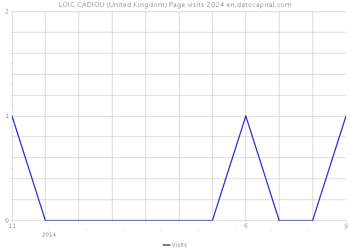 LOIC CADIOU (United Kingdom) Page visits 2024 