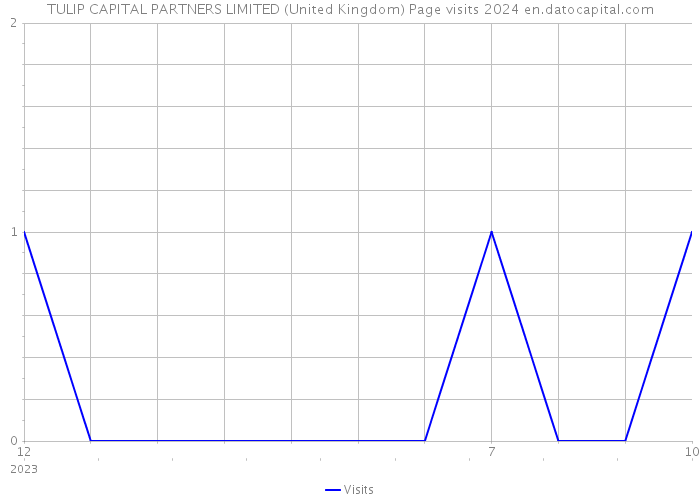 TULIP CAPITAL PARTNERS LIMITED (United Kingdom) Page visits 2024 