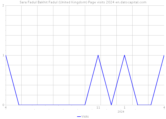 Sara Fadul Bakhit Fadul (United Kingdom) Page visits 2024 