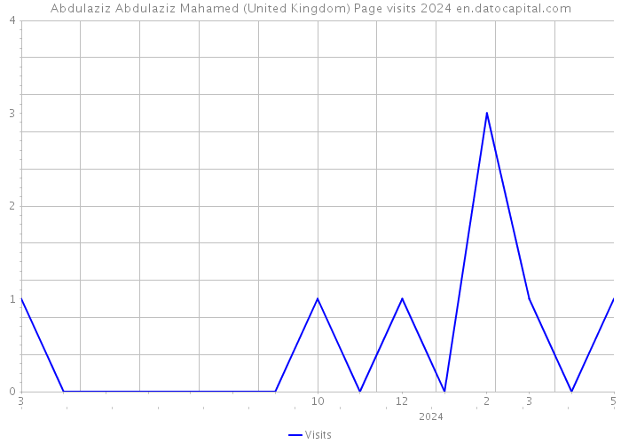 Abdulaziz Abdulaziz Mahamed (United Kingdom) Page visits 2024 