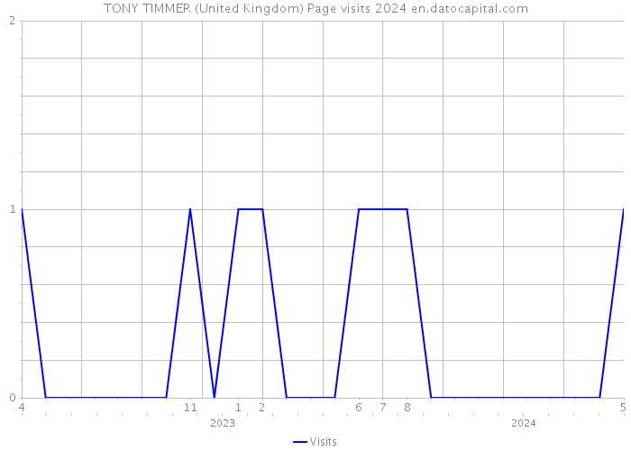 TONY TIMMER (United Kingdom) Page visits 2024 