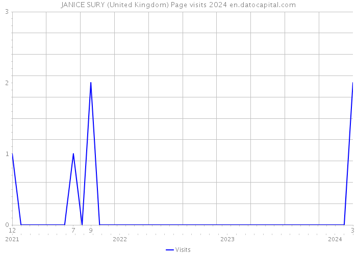 JANICE SURY (United Kingdom) Page visits 2024 