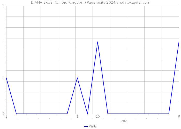 DIANA BRUSI (United Kingdom) Page visits 2024 