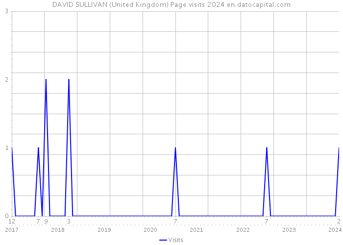 DAVID SULLIVAN (United Kingdom) Page visits 2024 