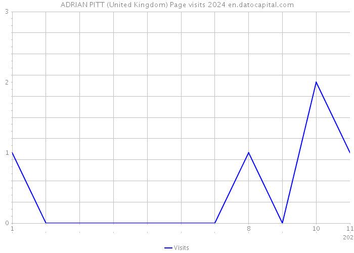 ADRIAN PITT (United Kingdom) Page visits 2024 