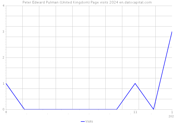 Peter Edward Pulman (United Kingdom) Page visits 2024 