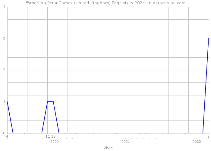 Esmerling Pena Gomez (United Kingdom) Page visits 2024 