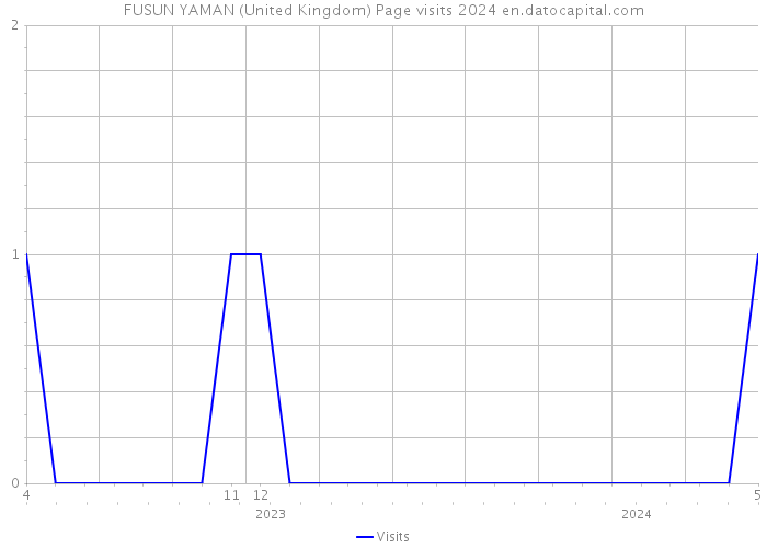 FUSUN YAMAN (United Kingdom) Page visits 2024 