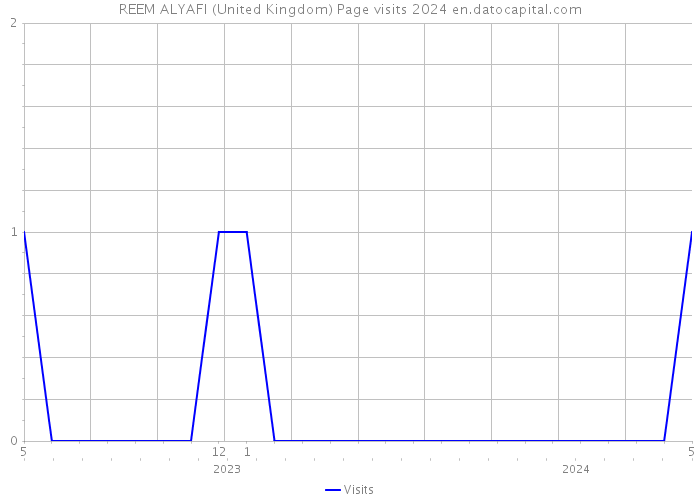 REEM ALYAFI (United Kingdom) Page visits 2024 
