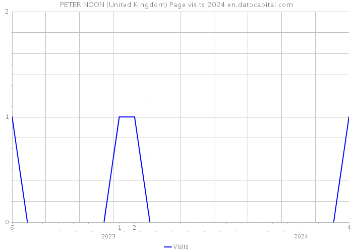 PETER NOON (United Kingdom) Page visits 2024 