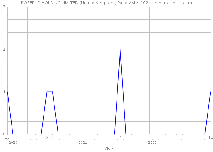 ROSEBUD HOLDING LIMITED (United Kingdom) Page visits 2024 