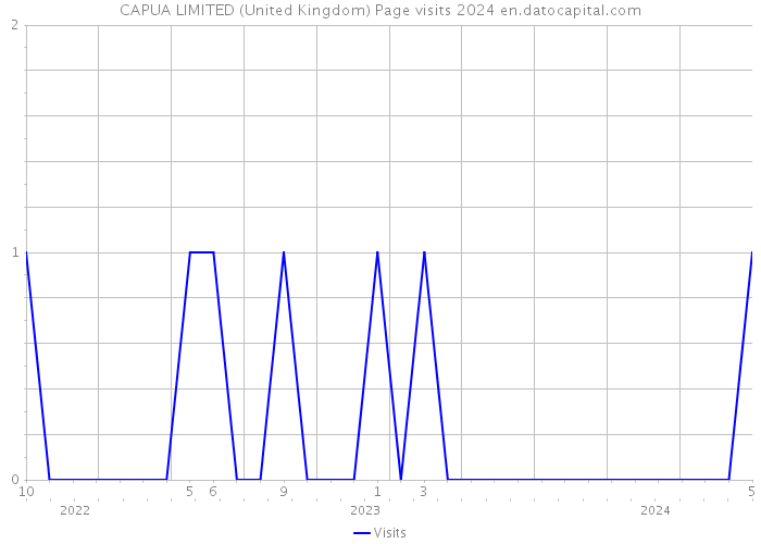 CAPUA LIMITED (United Kingdom) Page visits 2024 