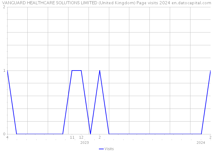 VANGUARD HEALTHCARE SOLUTIONS LIMITED (United Kingdom) Page visits 2024 