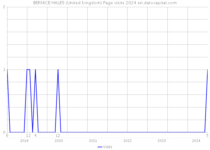 BERNICE HALES (United Kingdom) Page visits 2024 