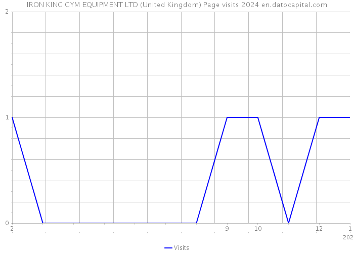 IRON KING GYM EQUIPMENT LTD (United Kingdom) Page visits 2024 