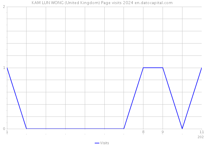 KAM LUN WONG (United Kingdom) Page visits 2024 