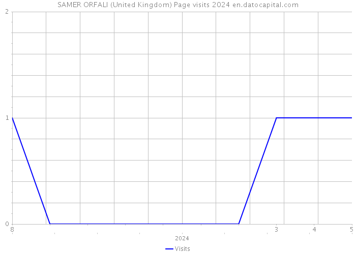 SAMER ORFALI (United Kingdom) Page visits 2024 