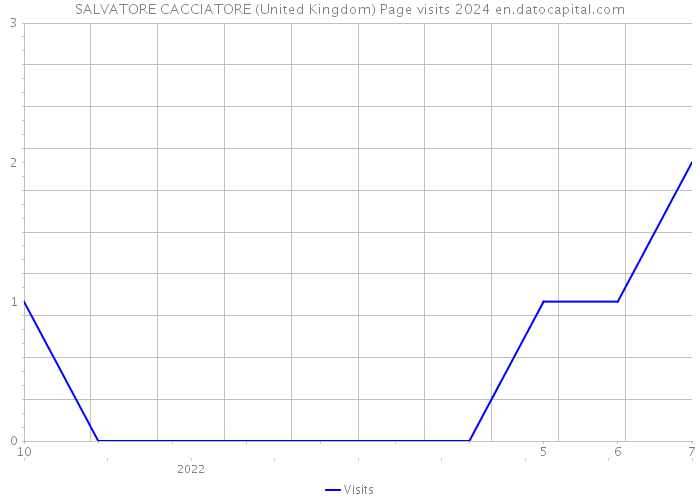 SALVATORE CACCIATORE (United Kingdom) Page visits 2024 