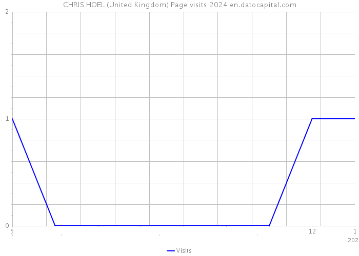CHRIS HOEL (United Kingdom) Page visits 2024 
