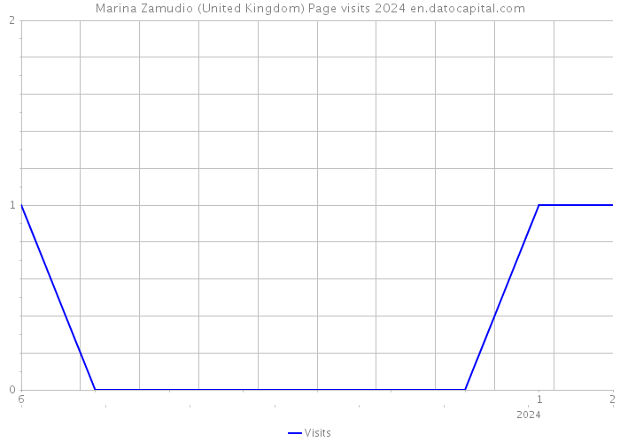 Marina Zamudio (United Kingdom) Page visits 2024 
