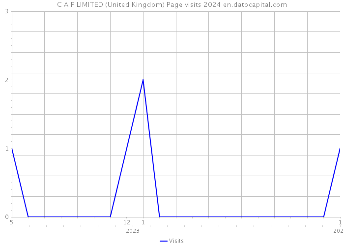 C A P LIMITED (United Kingdom) Page visits 2024 