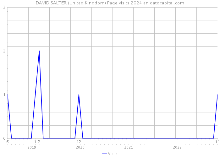 DAVID SALTER (United Kingdom) Page visits 2024 