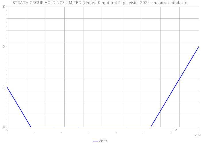 STRATA GROUP HOLDINGS LIMITED (United Kingdom) Page visits 2024 