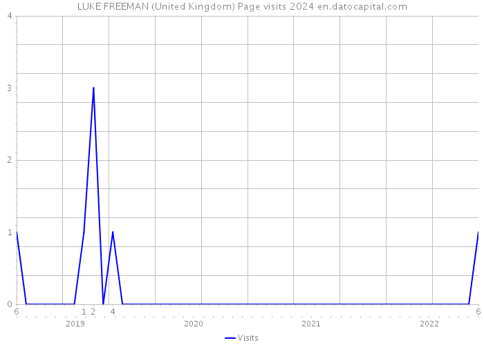 LUKE FREEMAN (United Kingdom) Page visits 2024 