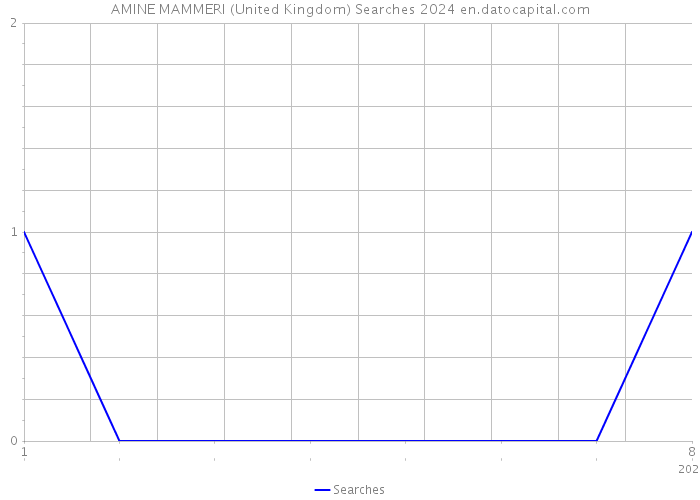 AMINE MAMMERI (United Kingdom) Searches 2024 