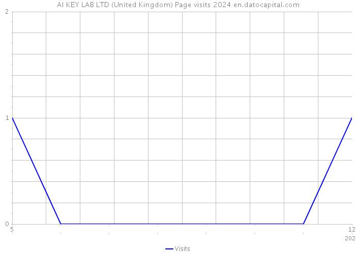 AI KEY LAB LTD (United Kingdom) Page visits 2024 