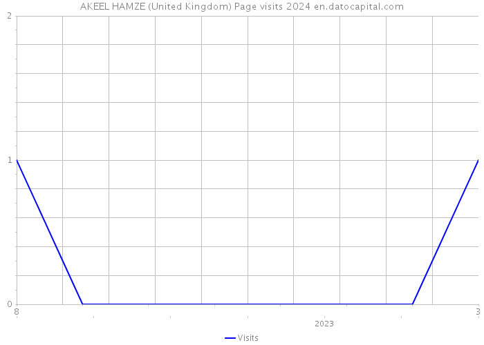 AKEEL HAMZE (United Kingdom) Page visits 2024 