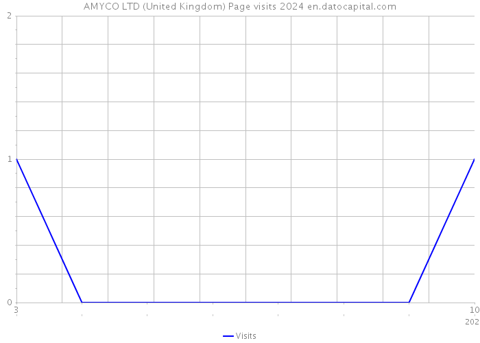 AMYCO LTD (United Kingdom) Page visits 2024 