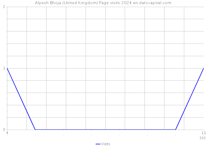 Alpesh Bhoja (United Kingdom) Page visits 2024 