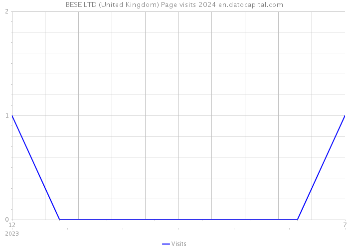 BESE LTD (United Kingdom) Page visits 2024 