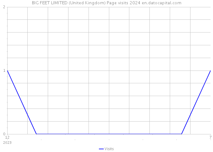 BIG FEET LIMITED (United Kingdom) Page visits 2024 
