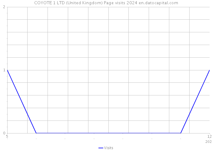 COYOTE 1 LTD (United Kingdom) Page visits 2024 