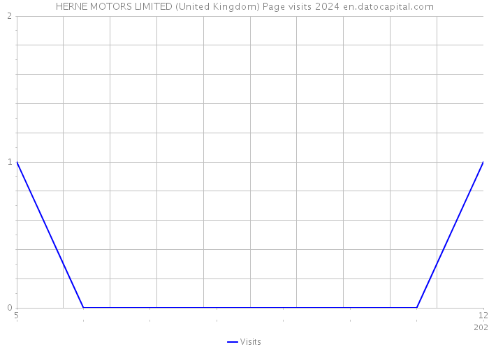 HERNE MOTORS LIMITED (United Kingdom) Page visits 2024 