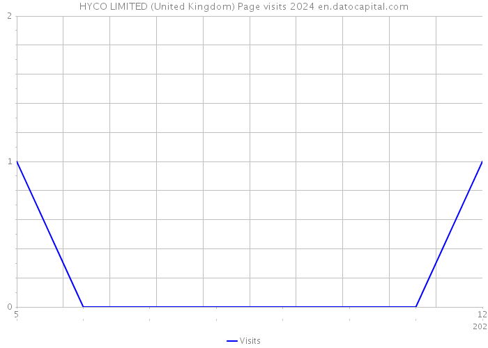 HYCO LIMITED (United Kingdom) Page visits 2024 