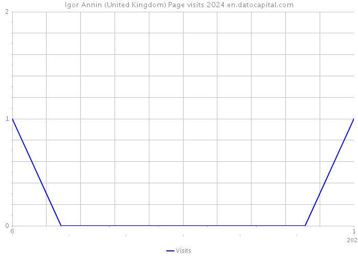 Igor Annin (United Kingdom) Page visits 2024 
