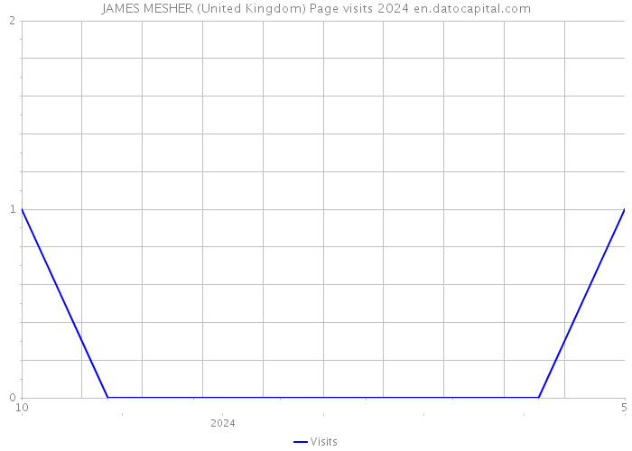 JAMES MESHER (United Kingdom) Page visits 2024 
