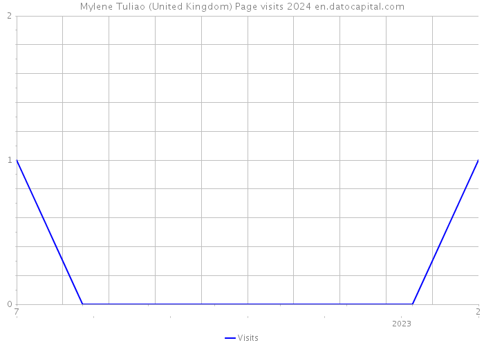 Mylene Tuliao (United Kingdom) Page visits 2024 