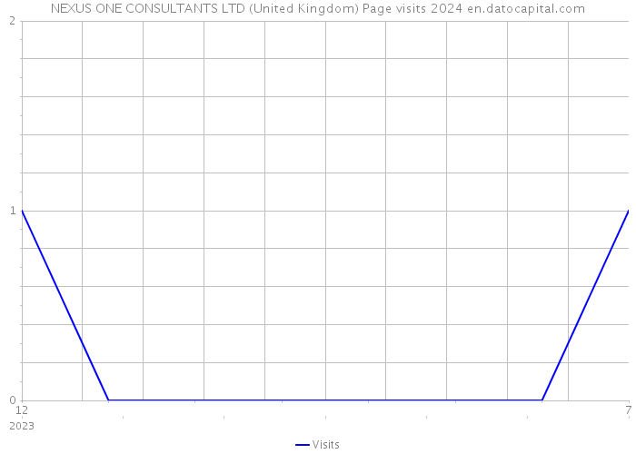 NEXUS ONE CONSULTANTS LTD (United Kingdom) Page visits 2024 