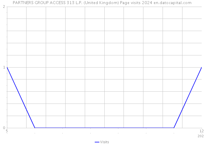 PARTNERS GROUP ACCESS 313 L.P. (United Kingdom) Page visits 2024 